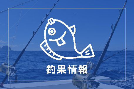 釣果情報